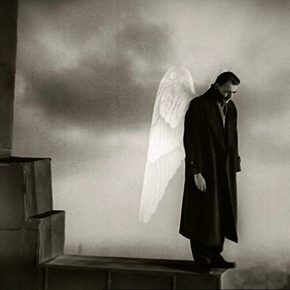 Il cielo sopra Berlino cinema e periferie fronte del porto padova